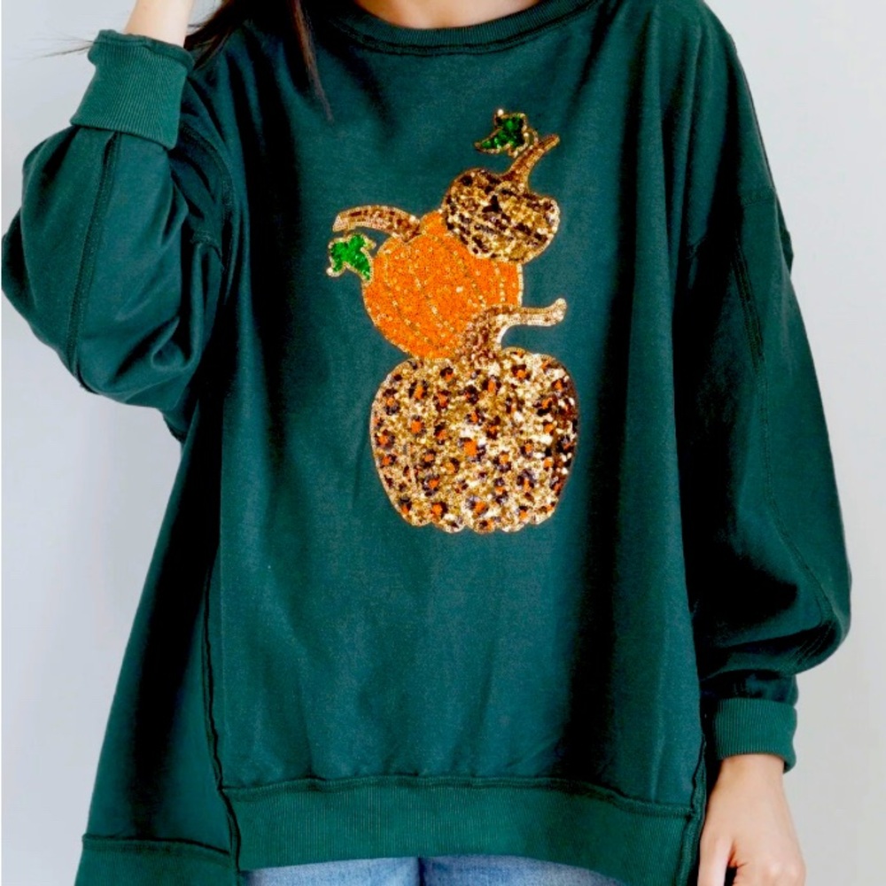 NWOT Fantastic Fawn Sequin Pumpkin Fall Thanksgiving Pullover Top